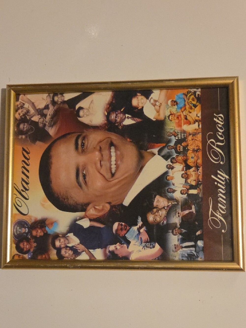 Obama 'Family Roots' Collage Poster - Gold Frame - Picture 2 of 4